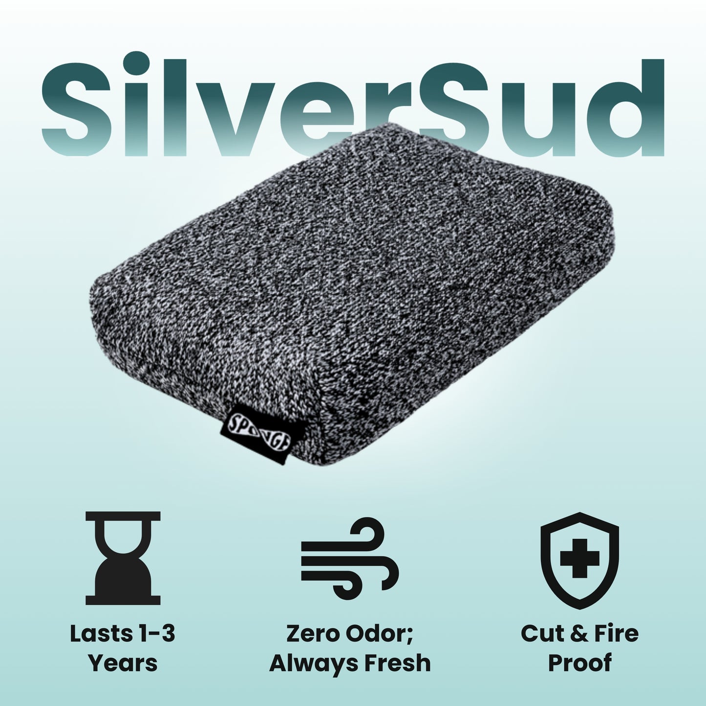 SilverSud Sponge