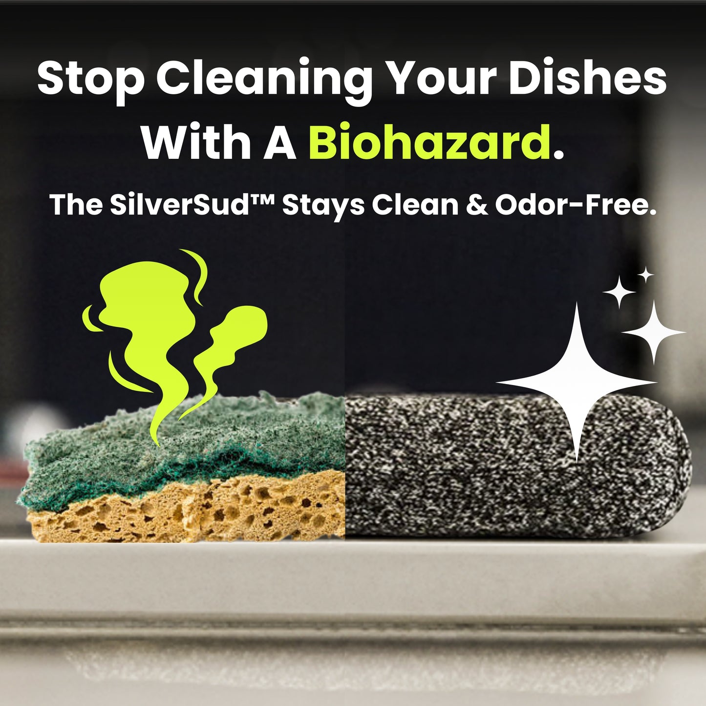 SilverSud Sponge