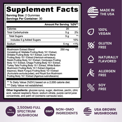 10-in-1 Superfood Mushroom Gummies